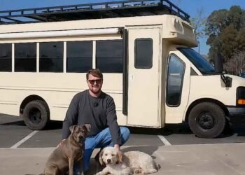 Transformed Bus House Tour Will Depart You Impressed