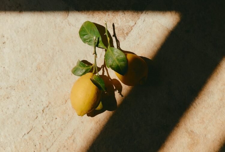 Is *This* Tea Useful For Weight Loss?