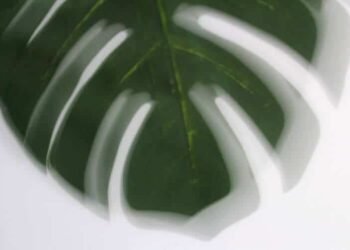 Motion Meditation For Presence