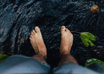 What Do Your Ft Actually Bear in mind?