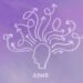 Consciousness in Motion: Rethinking ADHD By way of Mindfulness