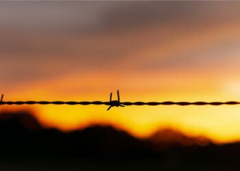 Wholesome Boundaries-The place To Draw The Line