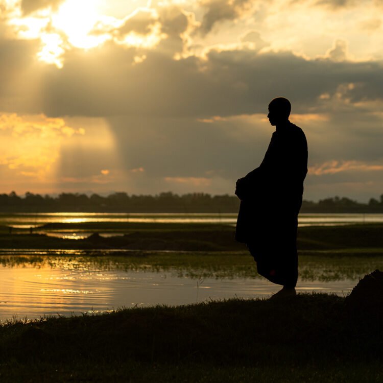 A Zen Love Story of Coming Dwelling to Your self – Be Right here Now Community 2025