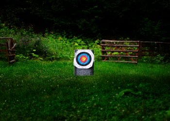 Do psychiatric dysfunction genes overlap with their drug targets?