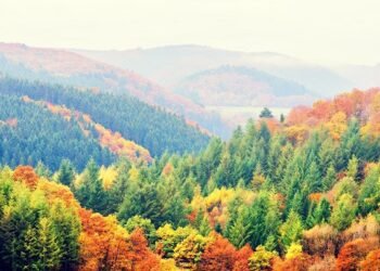 101 Inspirational Fall Quotes for a Constructive, Motivated and Joyful Autumn Season