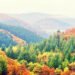 101 Inspirational Fall Quotes for a Constructive, Motivated and Joyful Autumn Season