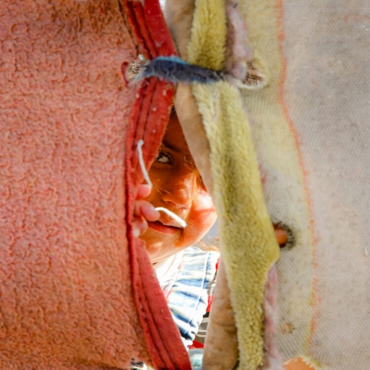 Beginning over: Put up-migration challenges skilled by refugees when integrating in a brand new nation