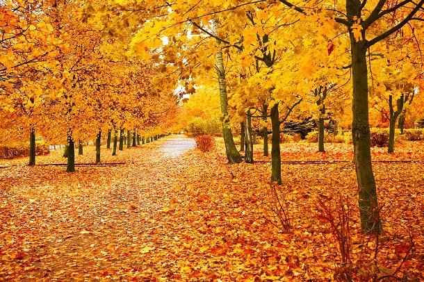 Inspirational, Humorous and Lovely Sayings to Welcome This Month