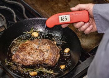 The ThermoWorks Thermapen One is 30 % off proper now