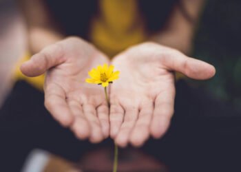 10 Painfully Apparent Information About Life We All Neglect Too Usually