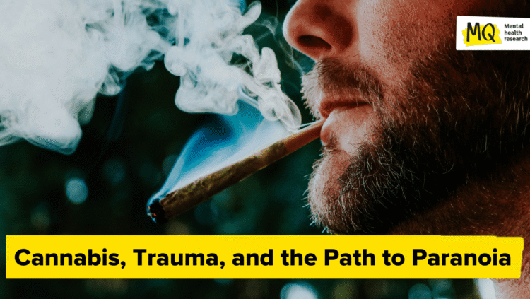 Hashish, Trauma, and the Path to Paranoia