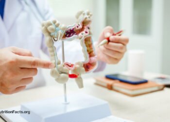 The Validity of SIBO Assessments 