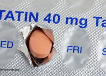 Are We Being Misled Concerning the Advantages and Dangers of Statins? 