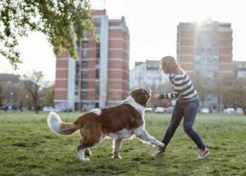 How NEAT Actions Add As much as Higher General Well being