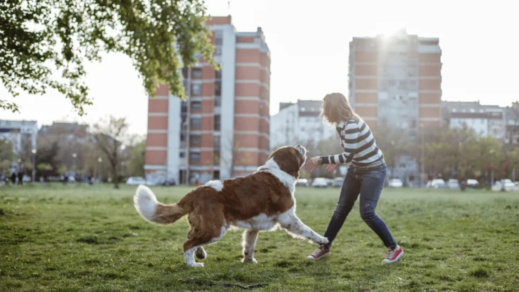 How NEAT Actions Add As much as Higher General Well being