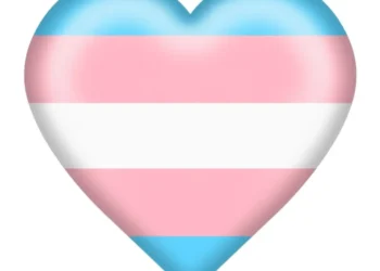 My Companion Got here Out As Trans… Now What?