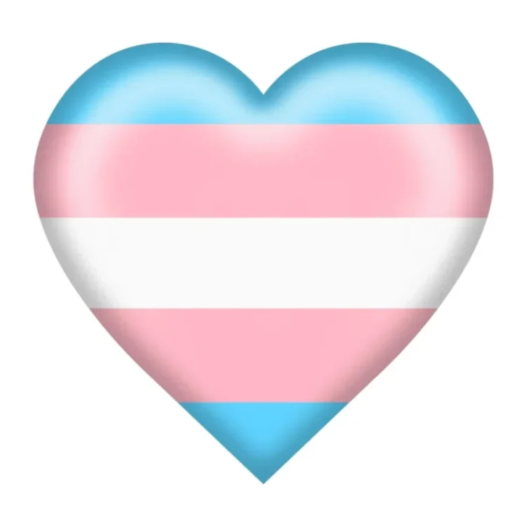 My Companion Got here Out As Trans… Now What?