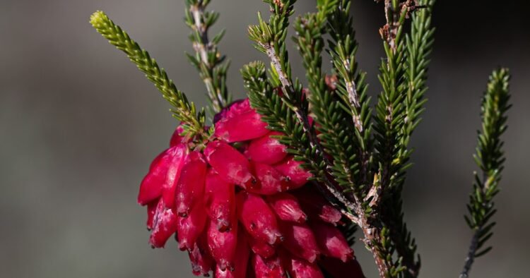 20 Relationship Pink Flags Sadly Ignored for Months