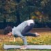 6 Yoga Poses To Assist You Study Arm Balances