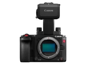Canon’s tiny C50 cinema digicam can shoot widescreen and vertical video concurrently