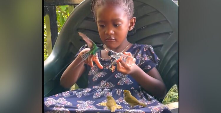 Just a little ‘fowl whisperer’ captures hearts whereas sharing a magical second with hummingbirds