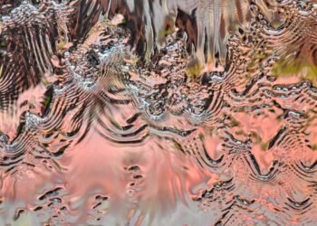 the place misplaced recollections go