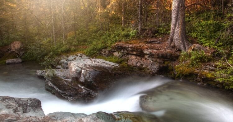 Change the Channel – Rick Hanson, PhD