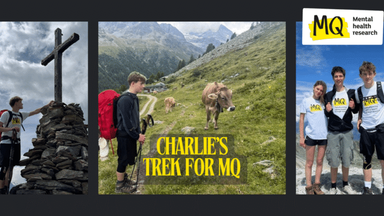 Mountaineering The Swiss Alps For Psychological Well being Analysis