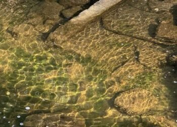 Discovering the Stillness and Peace of Who You Actually Are