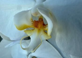 Your Woke up Nature Is Proper There