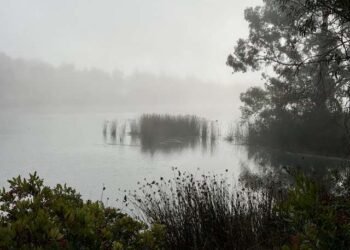 The Paradox of Wholeness – Deconstructing Your self