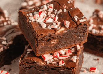 Fudgy Darkish Chocolate Peppermint Protein Brownies