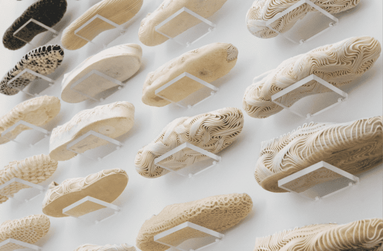 Step ahead the ‘totally biodegradable’ shoe that leaves no footprint