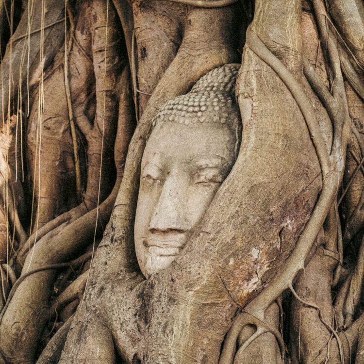 Coronary heart Knowledge with Jack Kornfield – Ep. 308 – Changing into the Tree of Enlightenment with Prof. Rajiv S. Joshi – Be Right here Now Community 2025