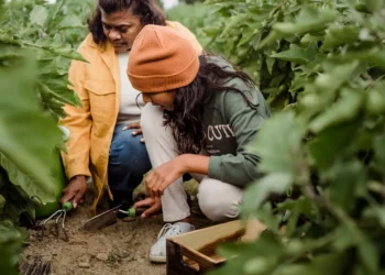 Positively Uplifting Tales | October 6 2025