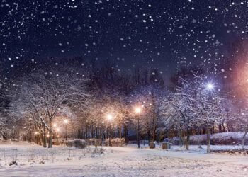 101 Quick Winter Quotes for a Optimistic, Glad and Much less Aggravating Season