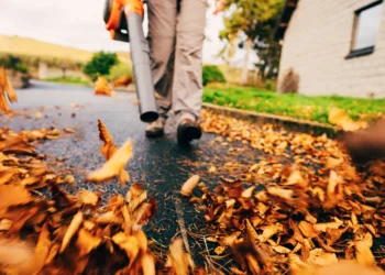 The Leaf Blower Mindset – Constructive Prescription