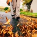 The Leaf Blower Mindset – Constructive Prescription