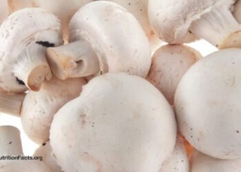 Prostate Most cancers and Mushrooms