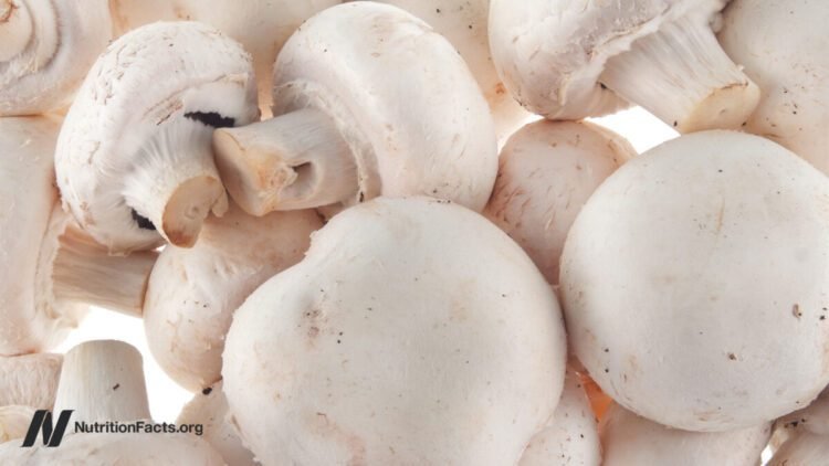 Prostate Most cancers and Mushrooms