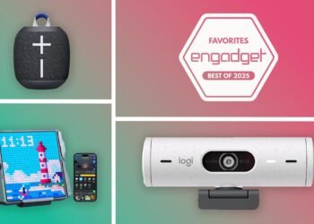 The 22 finest reward concepts for the distant employee in your life