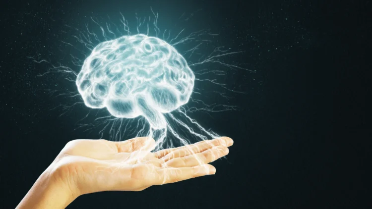 Flexing Your Mind: The Psychological Gymnasium No one Talks About