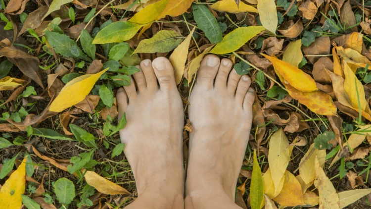 What’s Grounding? The 5 Useful Ideas & 8 Soothing Advantages