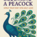 Turning into A Peacock By Michal Bardavid — A Daring, Lovely Journey To True Self-Love