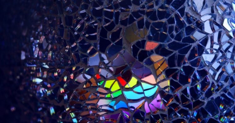 Embrace Fragility – Rick Hanson, PhD