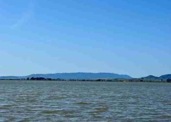 Giving and Receiving Follow—Compassion Meditation