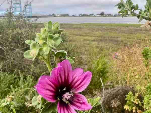 5 Parts Meditation – Deconstructing Your self