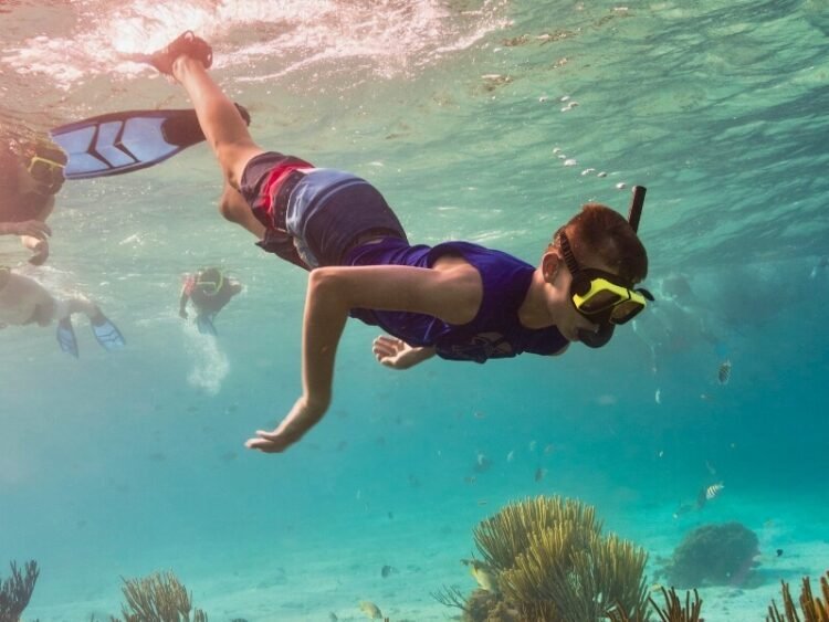 These Are The 7 Finest Instructional Summer time Camps With Snorkeling And Crusing Actions