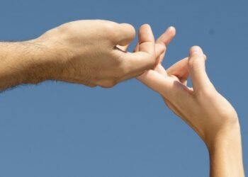 Are Berberine and Fiber the Final GLP-1 Powerhouse Pairing?