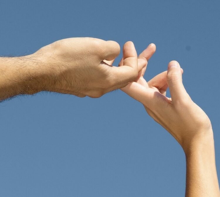 Are Berberine and Fiber the Final GLP-1 Powerhouse Pairing?